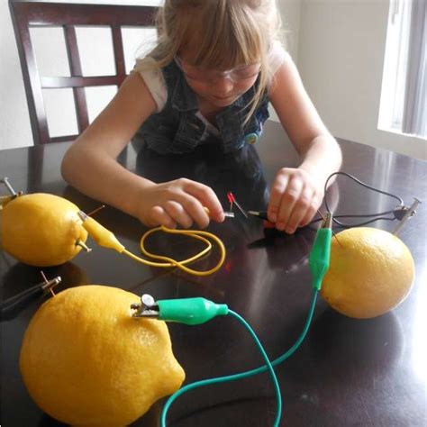 Lemon Battery Experiment This Ones For The Girls Science