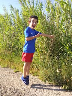 C R A Bajo Mart N Ciencias Naturales Y De Primaria Las Plantas