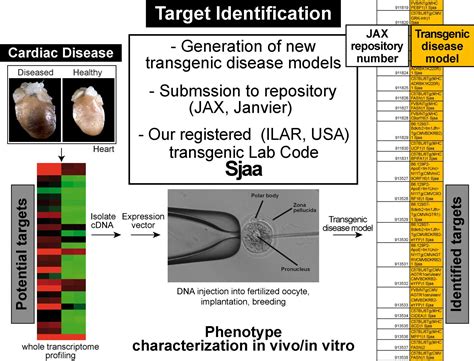 Target Identification Molecular Pharmacology Eth Zurich