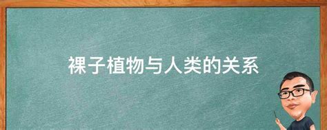 裸子植物与人类的关系 业百科