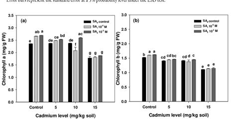 Effects Salicylic Acid Sa And Cadmium Cd Treatments On