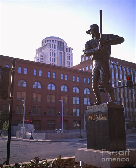 Stan Musial Statue Photograph by Tracy Knauer | Fine Art America