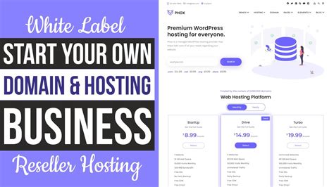 How To Start Domain Hosting Website Business In Wordpress Whmcs