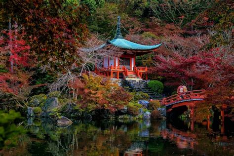 Paysage Du Temple Daigoji Avec Des érables Colorés En Automne Kyoto