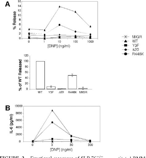 Figure 2 From Cell Function RI Signaling And Mast E Adapter Protein In