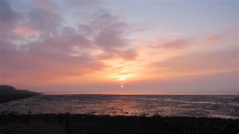 Kats Door Geeske Harkema Kats Zonsopkomst Aan De Oostersc Flickr