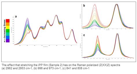 Polarized Raman Spectroscopy Characterizes The Molecular Structure And