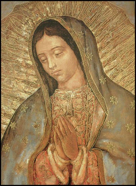 Virgen De Guadalupe Una Imagen Viva Historicidad La Virg Flickr