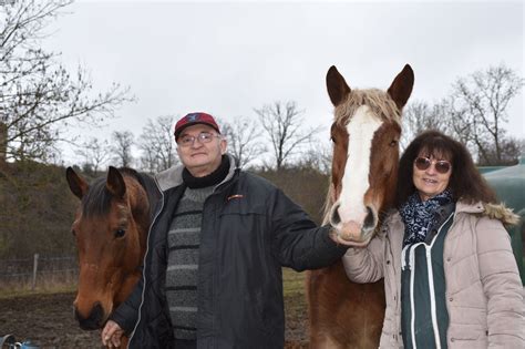 Adopt S En Association Les Crins De Libert