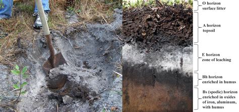 Disturbed Undisturbed Soil Samples Planningtews