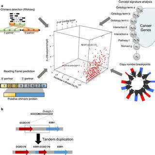 Schematic Representation Of Bioinformatics Pipeline To Discover