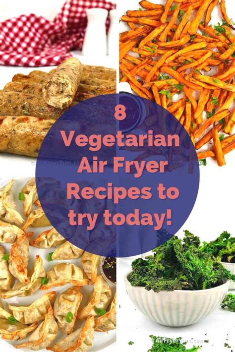 8 Vegetarian Air fryer Recipes - Air Fryer Yum