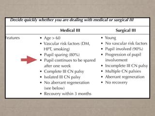 3rd cranial nerve palsy | PPT