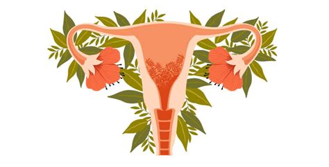 Aprende cómo tener una buena relación con tu menstruación Nosotras