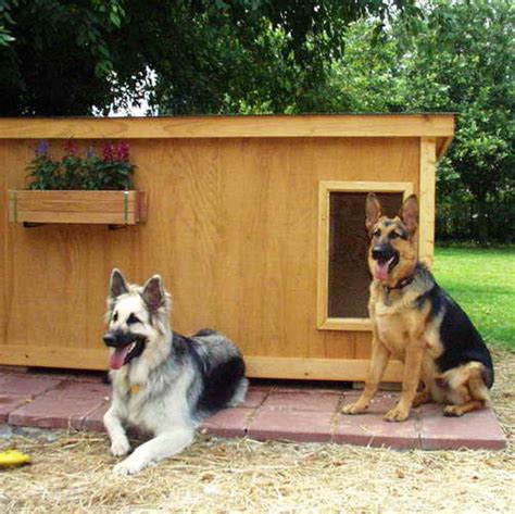 German Shepherd House | PETSIDI