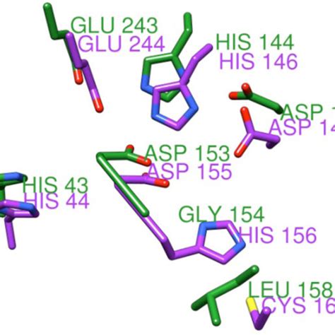 Structural Alignment Of Predicted Residues For YP 001304206 1 Gray