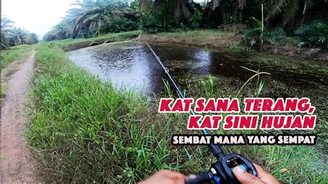 Mancing Casting Haruan Air Cun Tanda Boleh Mengasak Tapi