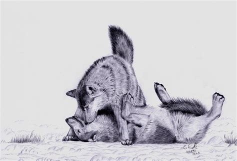 wolves kissing by mixxiwuff on DeviantArt