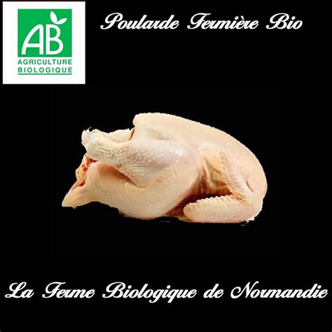 Meilleure Pintade Fermi Re Bio Poids Kilo Livraison Domicile