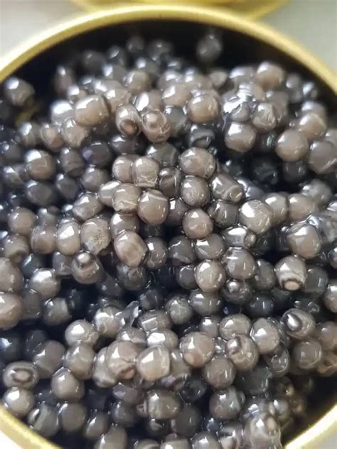 Buy Beluga Caviar 1kg-Caspian Sea Beluga Caviar - CaviarShah