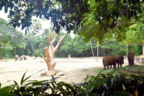 A day trip to Mysore zoo - A Revolving Compass...