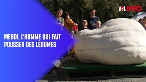 Marché de gros Mehdi fait pousser des légumes géants YouTube