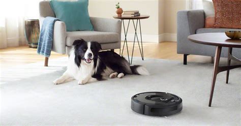 9 Best Robot Vacuums for Pets According to Experts 2022 | The Strategist