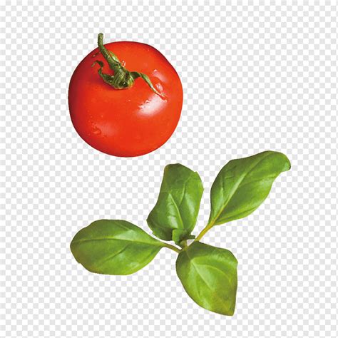 Tomato Red Rouge Tomate Red Tomatoes Natural Foods Food Leaf Png