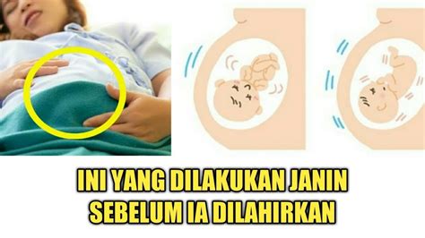 Inilah Aktivitas Janin Di Dalam Kandungan Sesaat Sebelum Persalinan