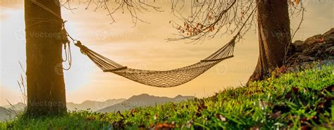 Hammock Suspended Between Two Trees Stock Photo At Vecteezy