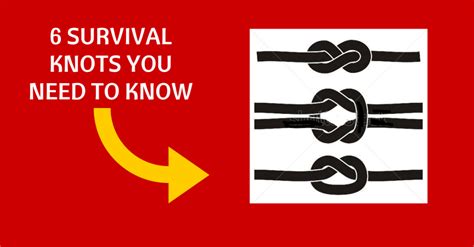 Six Survival Knots You Need to Know How to Tie