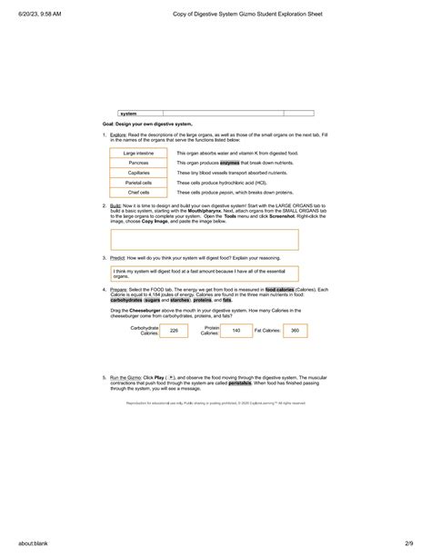 Solution Copy Of Digestive System Gizmo Student Exploration Sheet