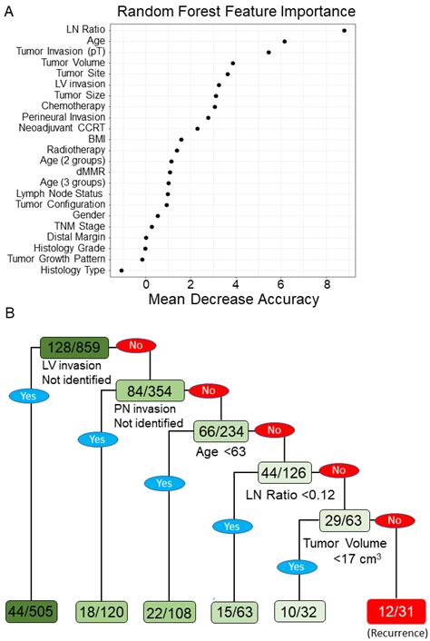 Biomedicines Free Full Text A Prediction Model For Tumor Recurrence In Stage Iiiii