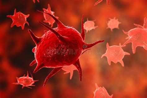 Activated Platelets Also Known As Thrombocytes Blood Cells