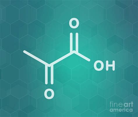 Pyruvic Acid Molecule Photograph By Molekuul Science Photo Library Fine Art America