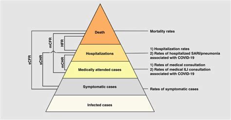 Degree of Severity in COVID-19 Illness (Yang, 2020). | Download Scientific Diagram