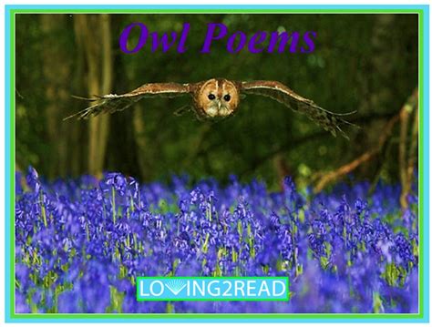 Owl Poems Loving2read