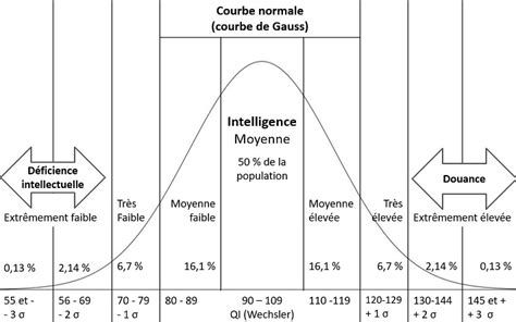 Comment Obtenir Son Quotient Intellectuel