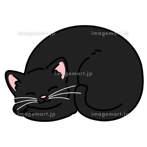 丸まって眠るシンプルで可愛い黒猫のイラスト 主線あり 216868115 イメージマート