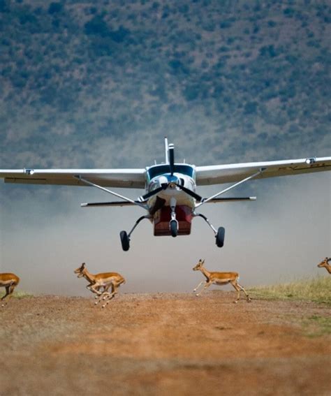 8 Days Premium Kenya Flying Luxury Safari Southern Valley Safaris