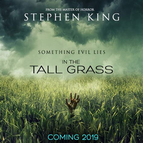 “in The Tall Grass” 2019 Review Rhinebeck Reality