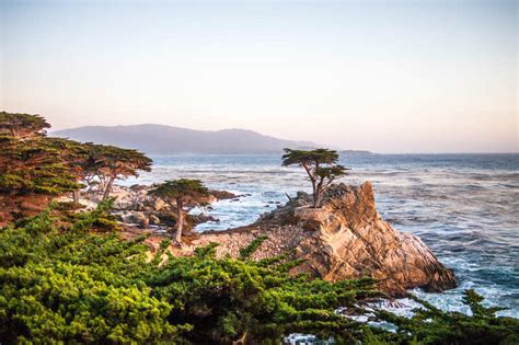 Napa Valley & Monterey | Essential Americas Travel