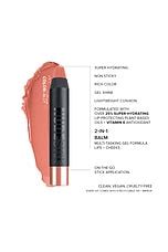 NUDESTIX Nude Natural Lips Kit REVOLVE