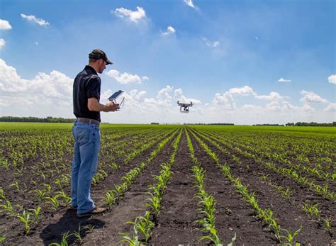 Agricultura Alternativa Energ A Renovable Para Cultivos En Murcia