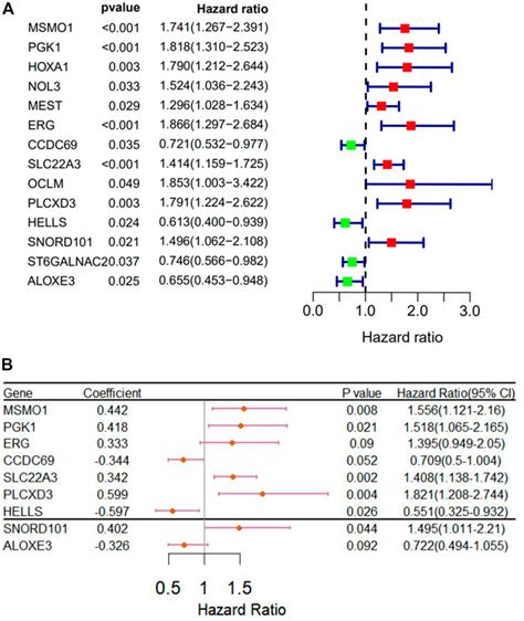 Frontiers The Clinical Significance And Immunization Of MSMO1 In