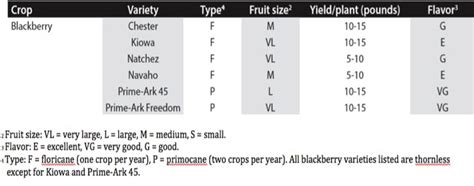 Blackberries Part I Piedmont Master Gardeners