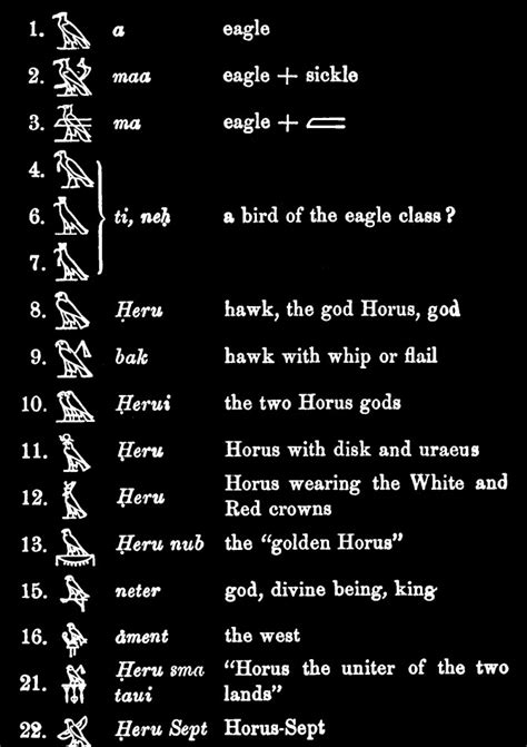 7 Hieroglyphic Signs Figures Of Birds Famous Pharaohs