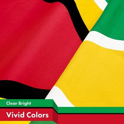 G128 3X5Ft Combo Usa Guyana Printed 150D Polyester Flag Oriental