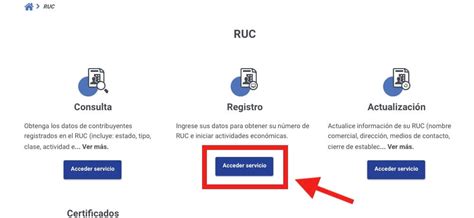 Cómo sacar el RUC en línea 2024 Persona Natural