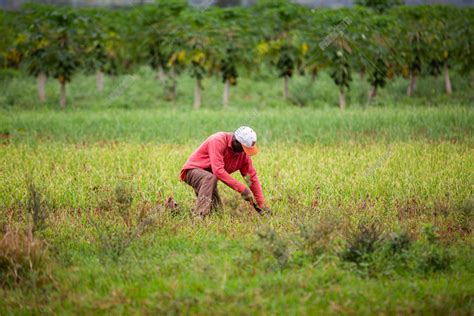 El enfoque agroecológico